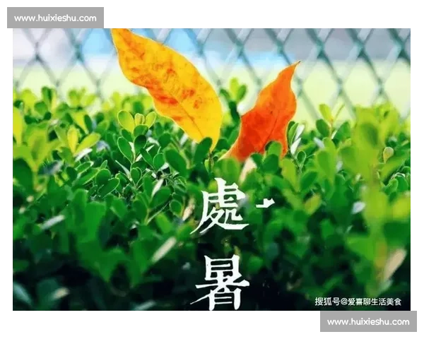 处暑时节万物渐盈秋丰收在望人间共赏清凉好时光